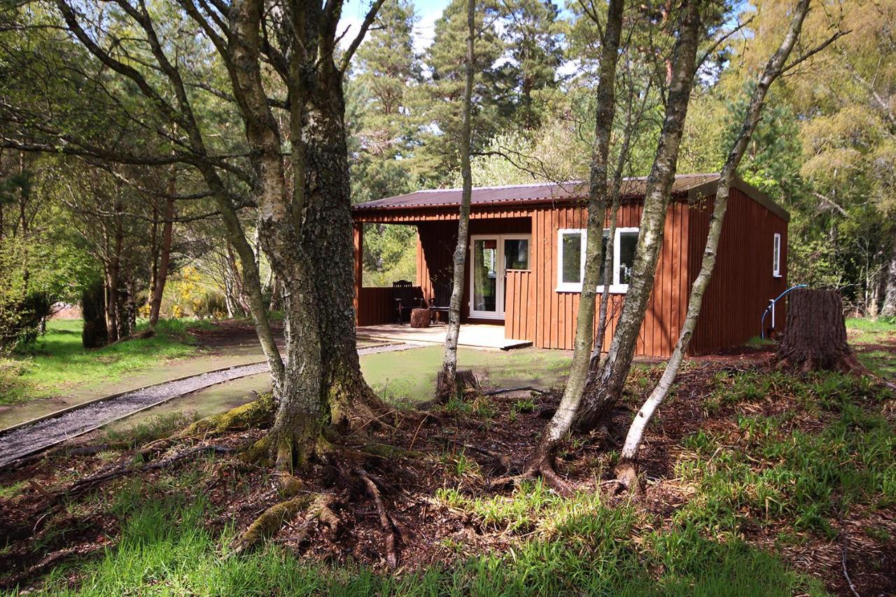 The Cabin At Easter Arr Auldearn Dış mekan fotoğraf